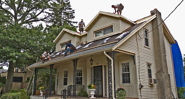 Trusted Basile, LA Roofing Contractor Experts